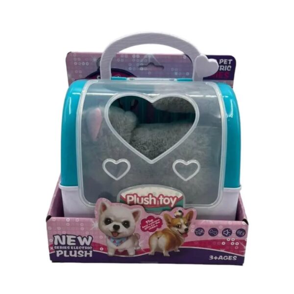 Caja transporte con mascota